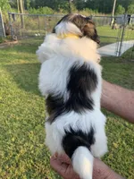 processed/27e43d7e-cb3f-4aa6-9461-c36af70f08fe/facility/f5212a5b-bd24-434d-b105-282d3e1c4b5a