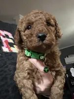 processed/27e43d7e-cb3f-4aa6-9461-c36af70f08fe/listing/8da43f03-e3a6-408f-a236-5a9ea73cb2a4/1cecd7e5-7675-43d8-a58a-9d390b8199d5