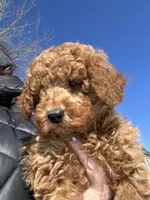 processed/27e43d7e-cb3f-4aa6-9461-c36af70f08fe/listing/8da43f03-e3a6-408f-a236-5a9ea73cb2a4/2c899c30-cf3f-4984-9b6f-5188fa88900f