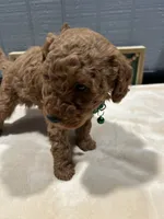 processed/27e43d7e-cb3f-4aa6-9461-c36af70f08fe/listing/8da43f03-e3a6-408f-a236-5a9ea73cb2a4/691c7a4e-c292-4666-bfac-1c92c9ebeb29