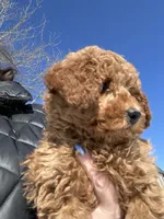 processed/27e43d7e-cb3f-4aa6-9461-c36af70f08fe/listing/8da43f03-e3a6-408f-a236-5a9ea73cb2a4/9d8cf7bb-47a4-46a8-b6f3-9b28bc9b9f90