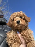 processed/27e43d7e-cb3f-4aa6-9461-c36af70f08fe/listing/8da43f03-e3a6-408f-a236-5a9ea73cb2a4/b3059204-a69e-4fc5-895e-f90845a43993