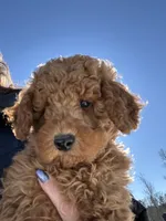 processed/27e43d7e-cb3f-4aa6-9461-c36af70f08fe/listing/8da43f03-e3a6-408f-a236-5a9ea73cb2a4/c03d55d4-c87a-466d-a7ca-81a80d51d8e0