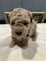 processed/27e43d7e-cb3f-4aa6-9461-c36af70f08fe/listing/fff9f5bf-b306-4d5a-9ec6-afcf2d7b4ba4/1c1e4b4b-99da-4597-a519-878bb2d6ca3e