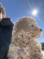 processed/27e43d7e-cb3f-4aa6-9461-c36af70f08fe/listing/fff9f5bf-b306-4d5a-9ec6-afcf2d7b4ba4/21fdcd3e-02bf-41f3-9a5c-ce5c9c433fb4