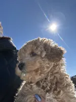 processed/27e43d7e-cb3f-4aa6-9461-c36af70f08fe/listing/fff9f5bf-b306-4d5a-9ec6-afcf2d7b4ba4/54851cec-31bc-4a4c-8235-5eb5c542f668