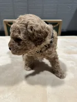 processed/27e43d7e-cb3f-4aa6-9461-c36af70f08fe/listing/fff9f5bf-b306-4d5a-9ec6-afcf2d7b4ba4/59a6ae9e-c2cb-4304-8cc0-eacacc9ebb29