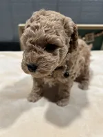 processed/27e43d7e-cb3f-4aa6-9461-c36af70f08fe/listing/fff9f5bf-b306-4d5a-9ec6-afcf2d7b4ba4/c410ab39-5d9f-48ed-9d1c-fbb0b44fbbc6