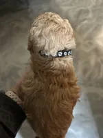 processed/27e43d7e-cb3f-4aa6-9461-c36af70f08fe/listing/fff9f5bf-b306-4d5a-9ec6-afcf2d7b4ba4/d9c4e2fc-c648-434b-b475-cbf9e63c6d48