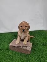 processed/27e4b5c9-32a9-4e5a-a692-5b35468a9250/listing/4ce343e9-c0b3-453a-b6c0-cbe1c47686be/446a8303-1eb1-4561-b4d4-38c523ead829