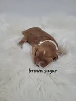 processed/27e4b5c9-32a9-4e5a-a692-5b35468a9250/listing/4ce343e9-c0b3-453a-b6c0-cbe1c47686be/6f9ac2b3-09d4-431d-abd2-8627f722affb