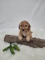 processed/27e4b5c9-32a9-4e5a-a692-5b35468a9250/listing/4ce343e9-c0b3-453a-b6c0-cbe1c47686be/8a6f542a-08b7-48d1-9002-f3c7d11b1347