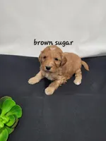 processed/27e4b5c9-32a9-4e5a-a692-5b35468a9250/listing/4ce343e9-c0b3-453a-b6c0-cbe1c47686be/cd271726-eb70-4924-a8be-4c0835ce728f