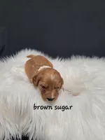 processed/27e4b5c9-32a9-4e5a-a692-5b35468a9250/listing/4ce343e9-c0b3-453a-b6c0-cbe1c47686be/dd5f706d-1e97-440b-8346-d853c02b822b