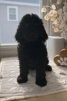 processed/27e6bff7-a340-40d0-9de0-fc33ab8463e1/listing/181d136d-33c5-46cb-9516-cf3ad65d6dd4/0f634c2b-841a-4a56-9639-9cf20b6d6f3c