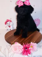 processed/27e6bff7-a340-40d0-9de0-fc33ab8463e1/listing/181d136d-33c5-46cb-9516-cf3ad65d6dd4/2e17441b-66cd-42cc-8b21-bf04cc065d97