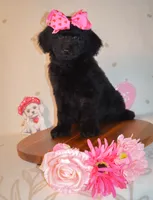 processed/27e6bff7-a340-40d0-9de0-fc33ab8463e1/listing/181d136d-33c5-46cb-9516-cf3ad65d6dd4/3069cb29-9c59-4e6d-a850-b57150b42b27