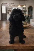 processed/27e6bff7-a340-40d0-9de0-fc33ab8463e1/listing/181d136d-33c5-46cb-9516-cf3ad65d6dd4/3851ca1c-46aa-47ed-bfc3-29fea72c6365