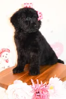 processed/27e6bff7-a340-40d0-9de0-fc33ab8463e1/listing/181d136d-33c5-46cb-9516-cf3ad65d6dd4/6a801b36-4308-4c2e-ac5a-1583db6315f1