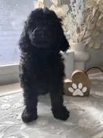 processed/27e6bff7-a340-40d0-9de0-fc33ab8463e1/listing/181d136d-33c5-46cb-9516-cf3ad65d6dd4/7857b8dd-4672-47b7-babc-a9bcc102b783