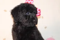 processed/27e6bff7-a340-40d0-9de0-fc33ab8463e1/listing/181d136d-33c5-46cb-9516-cf3ad65d6dd4/993c2299-e9ad-4536-9f53-13eab8a44e98