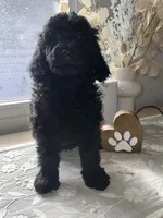 processed/27e6bff7-a340-40d0-9de0-fc33ab8463e1/listing/181d136d-33c5-46cb-9516-cf3ad65d6dd4/c030a19d-6b44-4995-b81d-35e15c53a549