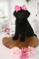 processed/27e6bff7-a340-40d0-9de0-fc33ab8463e1/listing/181d136d-33c5-46cb-9516-cf3ad65d6dd4/f375de65-2ff3-4f98-b1d1-876ca1e05645