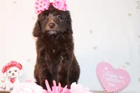 processed/27e6bff7-a340-40d0-9de0-fc33ab8463e1/listing/88d00193-0ef7-4ef8-b1fc-6af4a0e383c6/1f563533-552a-4cfc-8f56-ab73ea276731