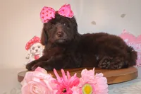 processed/27e6bff7-a340-40d0-9de0-fc33ab8463e1/listing/88d00193-0ef7-4ef8-b1fc-6af4a0e383c6/30fe8e6d-cf1a-4312-b104-96966c672695