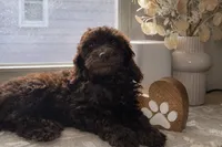 processed/27e6bff7-a340-40d0-9de0-fc33ab8463e1/listing/88d00193-0ef7-4ef8-b1fc-6af4a0e383c6/426c833e-45d3-4183-9cbe-e7742c951af6