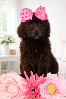 processed/27e6bff7-a340-40d0-9de0-fc33ab8463e1/listing/88d00193-0ef7-4ef8-b1fc-6af4a0e383c6/94e1e7b8-cb5e-4268-a75d-d5aeb618bca9