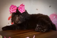 processed/27e6bff7-a340-40d0-9de0-fc33ab8463e1/listing/88d00193-0ef7-4ef8-b1fc-6af4a0e383c6/cbb8d78e-fe89-4094-bd6f-4bdfe284de61