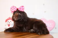 processed/27e6bff7-a340-40d0-9de0-fc33ab8463e1/listing/88d00193-0ef7-4ef8-b1fc-6af4a0e383c6/d716f020-d7b8-483c-805d-4135ddfff808