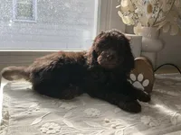 processed/27e6bff7-a340-40d0-9de0-fc33ab8463e1/listing/88d00193-0ef7-4ef8-b1fc-6af4a0e383c6/fb870304-6db0-4ed2-bf3c-7c0f6cb25577