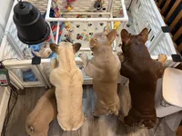 Facility photo