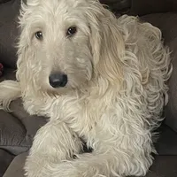 processed/27f686bf-8ae0-47cc-be77-5e6fba3cf8a4/facility/1a6c1660-1365-497c-be3e-322ba127bcac