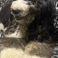 processed/27f686bf-8ae0-47cc-be77-5e6fba3cf8a4/facility/24ab7cae-4d04-4993-bad2-82ce66eb175f