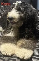 processed/27f686bf-8ae0-47cc-be77-5e6fba3cf8a4/facility/24ab7cae-4d04-4993-bad2-82ce66eb175f