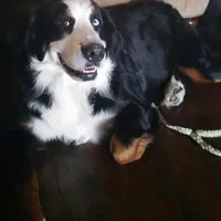 processed/27f686bf-8ae0-47cc-be77-5e6fba3cf8a4/facility/3046ef81-de38-4648-b28e-d9b84518b3a3