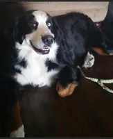 processed/27f686bf-8ae0-47cc-be77-5e6fba3cf8a4/facility/3046ef81-de38-4648-b28e-d9b84518b3a3