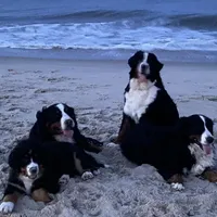 processed/27f686bf-8ae0-47cc-be77-5e6fba3cf8a4/facility/481f4ed0-5cf8-41fb-9b7b-c870bc27a87d