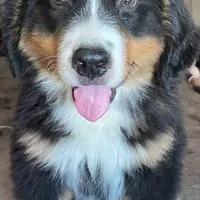 processed/27f686bf-8ae0-47cc-be77-5e6fba3cf8a4/facility/57174ea0-ad11-4ec1-afbb-971e2a8042cc