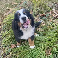 processed/27f686bf-8ae0-47cc-be77-5e6fba3cf8a4/facility/8082de09-4913-4ccf-9080-5d50647d1ea2