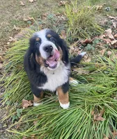 processed/27f686bf-8ae0-47cc-be77-5e6fba3cf8a4/facility/8082de09-4913-4ccf-9080-5d50647d1ea2