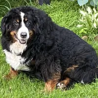 processed/27f686bf-8ae0-47cc-be77-5e6fba3cf8a4/facility/94ccf76e-a0c2-47bc-b7e8-c45fd0e687cf