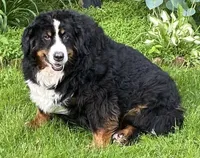 processed/27f686bf-8ae0-47cc-be77-5e6fba3cf8a4/facility/94ccf76e-a0c2-47bc-b7e8-c45fd0e687cf