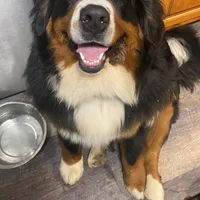 processed/27f686bf-8ae0-47cc-be77-5e6fba3cf8a4/facility/c3e93572-83b0-41da-a659-9d9b36d9eae5