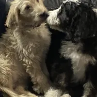 processed/27f686bf-8ae0-47cc-be77-5e6fba3cf8a4/facility/c55b8283-2308-4460-8121-2744d6e160b2