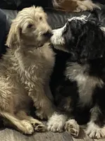 processed/27f686bf-8ae0-47cc-be77-5e6fba3cf8a4/facility/c55b8283-2308-4460-8121-2744d6e160b2