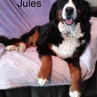 processed/27f686bf-8ae0-47cc-be77-5e6fba3cf8a4/facility/eb20aca7-d7ac-46cd-b4e6-832bac67551a